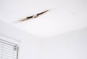 What Do Ceiling Cracks Mean? Types, Causes & When to Worry
