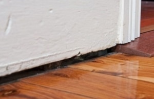 Gap between interior wall base and hardwood floor from structural shifting, a sign of bowing foundation wall in Front Royal, VA.