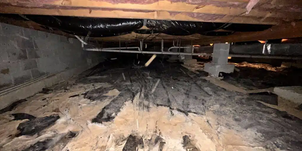 Failed crawl space vapor barrier torn and collapsed on dirt floor showing why basic poly sheeting fails in Berryville, VA, homes.