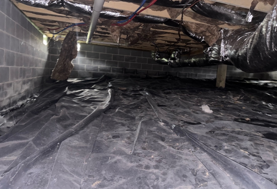 Wet dirt crawl space floor with deteriorated poly sheeting and hanging insulation before encapsulation in Shenandoah, VA.