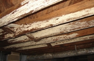 Discolored and deteriorating crawl space wood joists indicate rotted wood as a sign of mold in crawl space in Fairfax, VA.