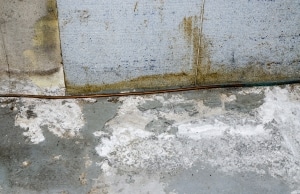 White efflorescence deposits and water stains along basement concrete wall and floor in Ashburn, VA, showing mineral seepage.