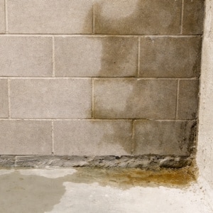 Moisture seeping through cinder block wall, showing water leakage that causes brown water stains in basement walls in Front Royal, VA.