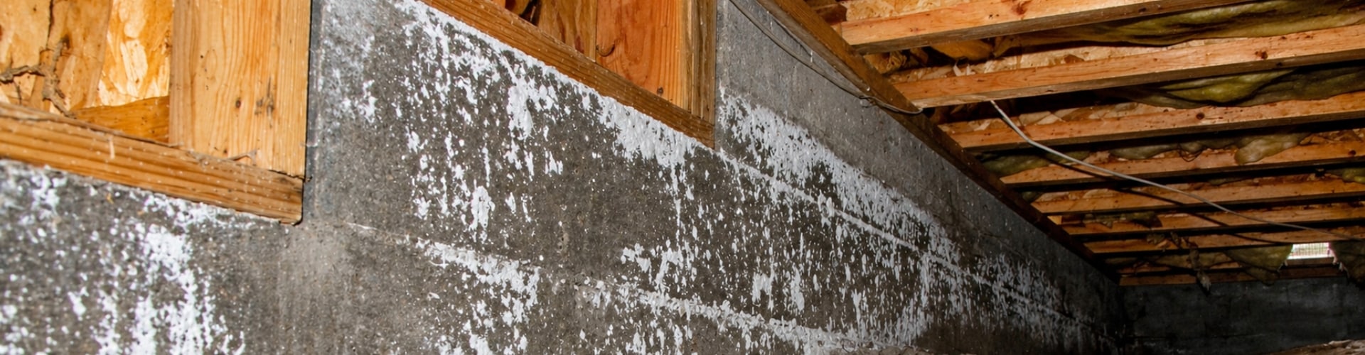 A crawl space floor and walls with presence of mold in crawl space in White Post, VA, as a sign of crawl space problems.