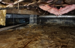 Damp crawl space with damaged vapor barrier and insulation creating musty smell, a sign of mold in crawl space in Harpers Ferry, WV.