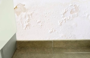 Peeling and bubbling paint on basement wall caused by excess moisture and water seepage and stain in Manassas, VA.