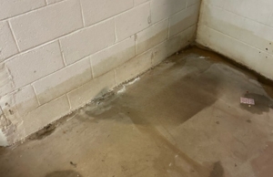 Water seeping through concrete block basement wall mortar joints and pooling on the floor, a sign of mortar cracks in Brambleton, VA.