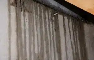 Wet streaks and damp water marks running down basement concrete wall leading to water stain problem in Reston, VA.