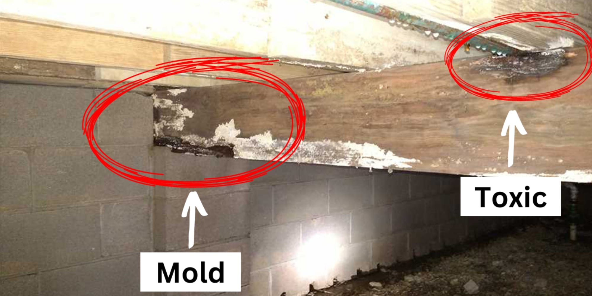 Mold and toxic black mold growth on crawl space rim joists caused by moisture in a Northern Virginia home