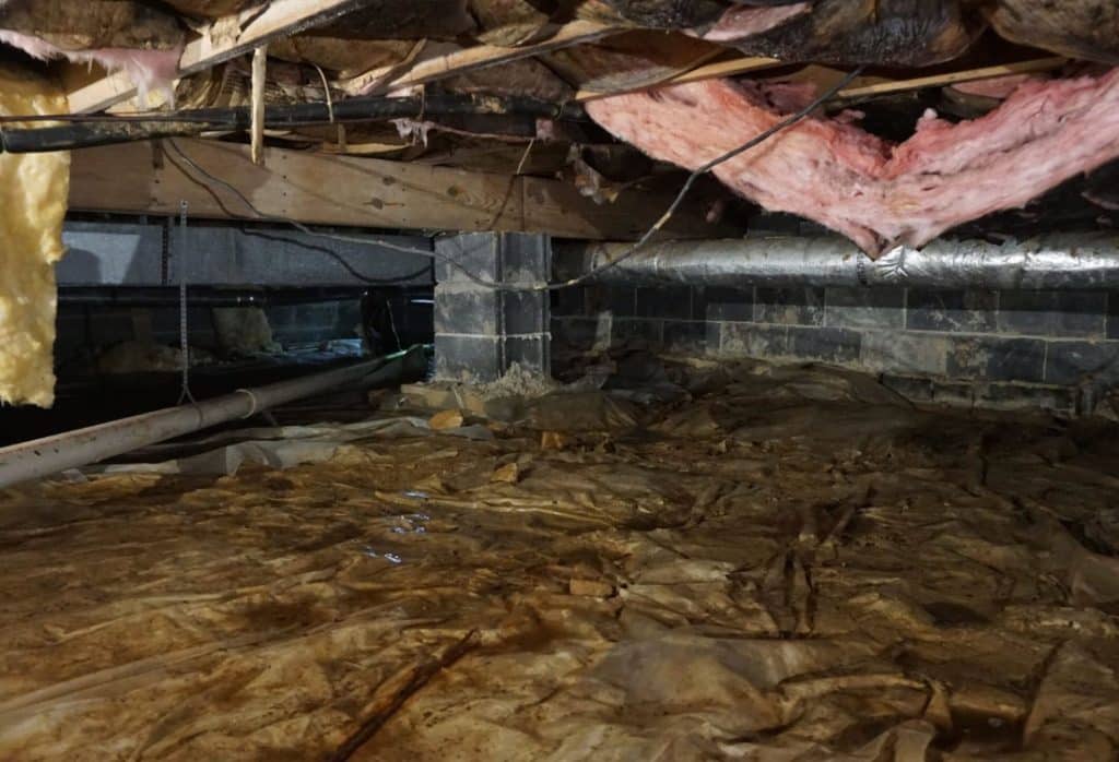 Damp, damaged vapor barrier with wet insulation falling from joists, showing failed vented crawl space in Fairfax, VA.