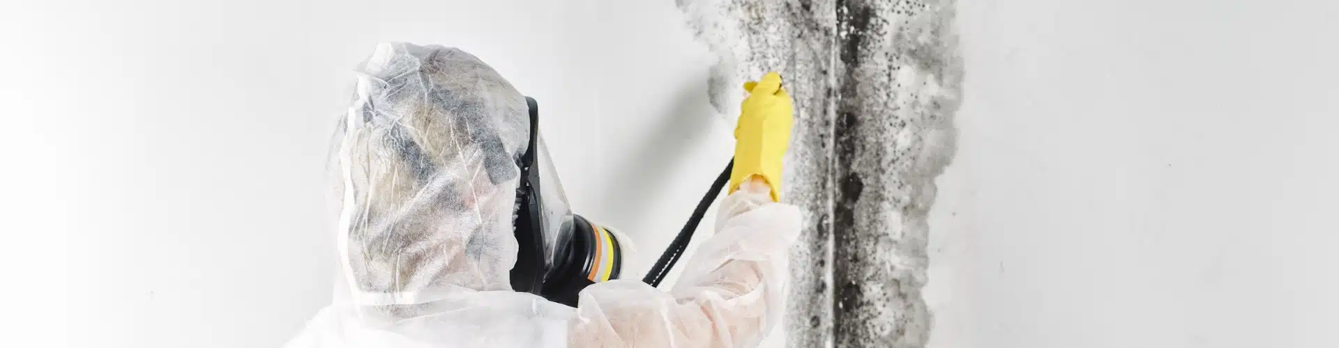 LUX expert performing basement mold removal using EPA-approved BAC Botanical treatment on black mold in Northern Virginia home.