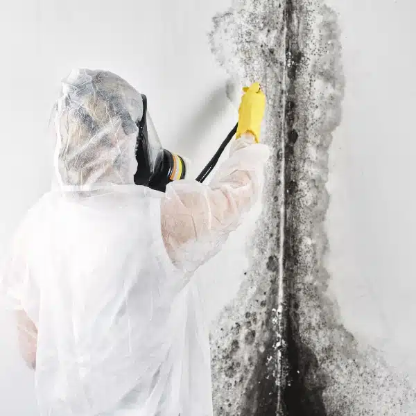LUX technician removing black mold from wall using EPA approved treatment, a basement waterproofing solution in Gainesville, VA.