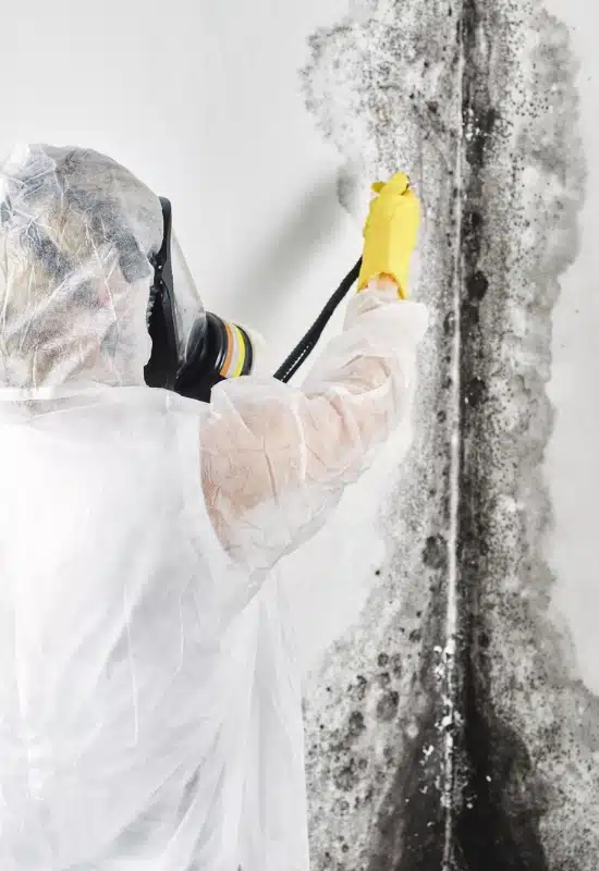 LUX technician in protective gear treating black mold growth off a basement wall during mold removal in Winchester, VA.