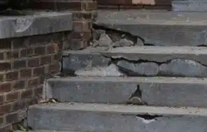 Horizontal cracks across concrete porch steps showing surface damage from sinking porch settlement in Ashburn, VA.