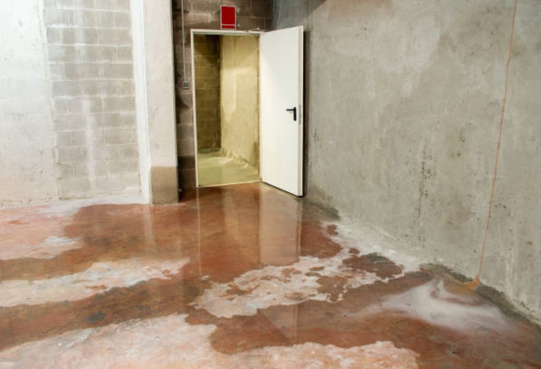 Water seepage on basement floor wall staining from intrusion caused by standing water around house in Alexandria, VA.