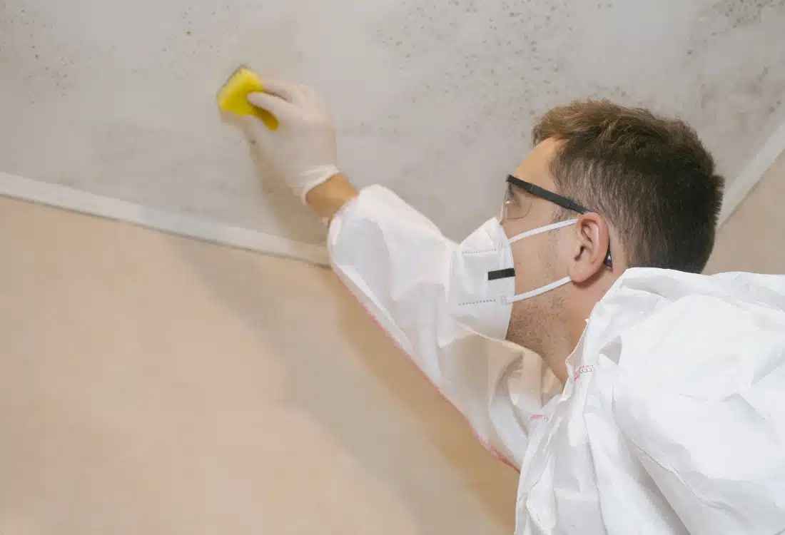 Person scrubbing a basement wall with vinegar to remove mold and get rid the musty smell in basement in Alexandria, VA.