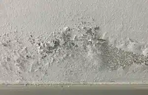 Paint peeling and flaking on basement wall showing damage from moisture and visible mold in basement in Southbridge, VA.