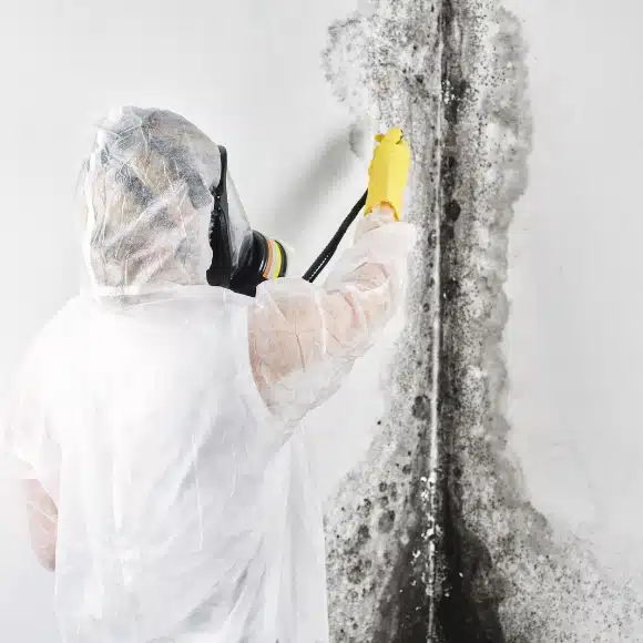 LUX technician in full protective gear performing professional basement mold removal on a Northern Virginia home.