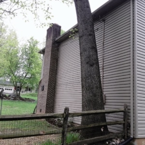 Tree growing close to a home exterior showing how root disruption causes a sinking porch in Berryville, VA.
