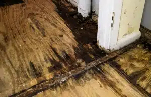 Warped and rotted wood flooring at basement door frame from prolonged moisture and damage from mold in basement in Brambleton VA.