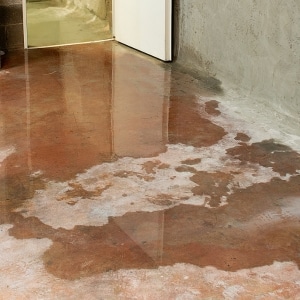 Basement with standing water pooling across concrete floor from water intrusion causing musty smell in basement in Stephens City, VA.