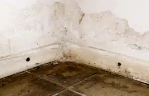 Yellowish brown water stains on concrete wall from past and ongoing moisture seepage, sign of musty smell in basement in Reston, VA.