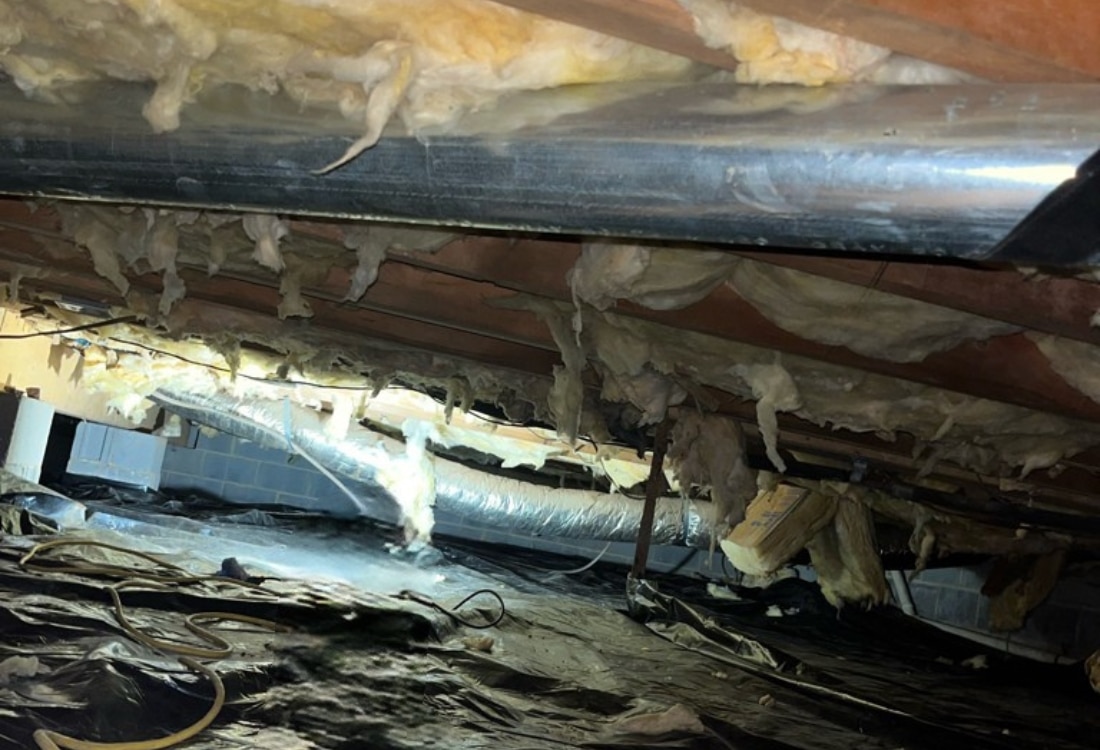 Damaged vapor barrier and deteriorated crawl space insulation caused by long-term moisture exposure in Culpeper, VA.