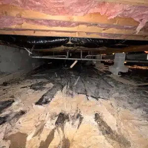 Torn and damaged vapor barrier on a crawl space dirt floor allowing moisture causing wet crawl space insulation in Reston, VA.