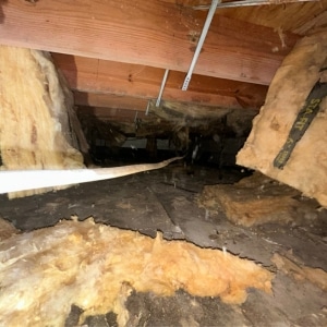 Missing and fallen crawl space insulation exposing cold surfaces that trigger condensation in Brambleton, VA.