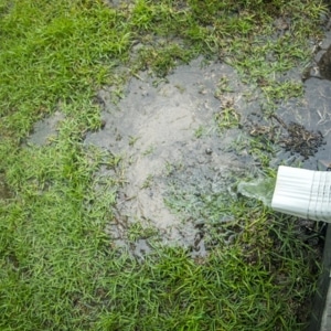 Water pooling on saturated yard near foundation from poor drainage raising crawl space humidity in Stephens City, VA.