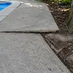 Tree roots pushing up and cracking a concrete pool deck slab causing sinking pool deck problem in Clear Brook, VA.