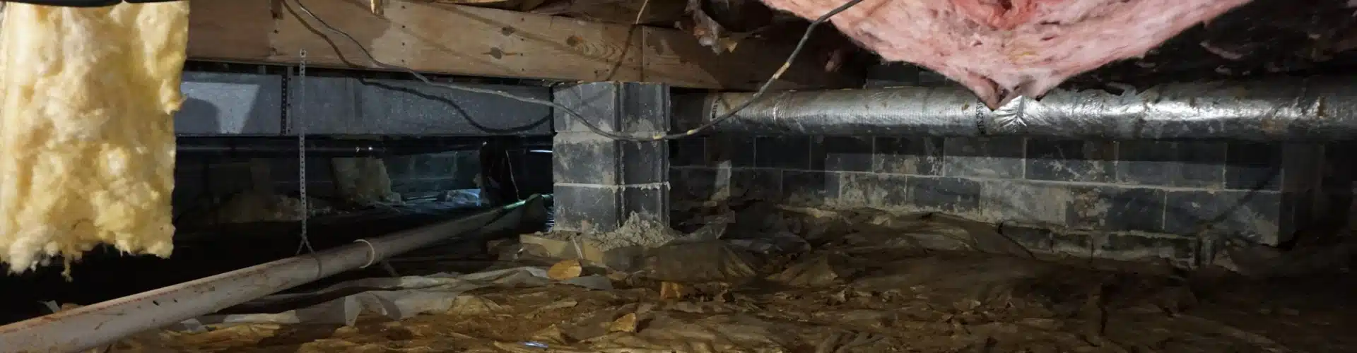 A damaged and damp vapor barrier, along with wet crawl space insulation, is a sign of crawl space problems in Front Royal, VA.