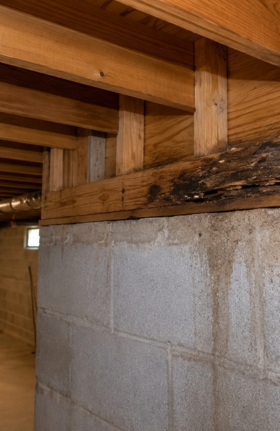 Wet rot damage on basement framing caused by moisture, needing basement wood rot treatment in Winchester, VA.
