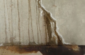 A vertical foundation wall cracks with water seeping through, sign of damp basement in Clear Brook, VA.