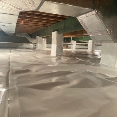 Encapsulated crawl space with white vapor barrier eliminating moisture that attracts crawl space pests in Warrenton, VA.