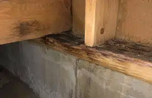Discolored basement sill plate showing dark staining near foundation wall, basement wood rotting in Charles Town, WV.