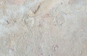 White chalky efflorescence on concrete basement wall as an early sign peeling or bubbling paint on basement walls in Alexandria, VA.
