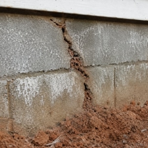 Foundation wall crack in crawl space used as a pest entry point with debris pushed through, causing crawl space pest in Strasburg, VA.