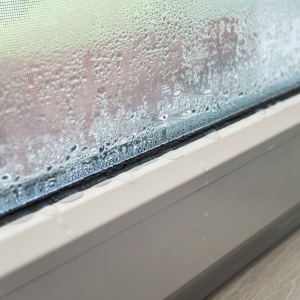 Condensation in basement window from inadequate ventilation causing peeling or bubbling paint on basement walls in Front Royal, VA.