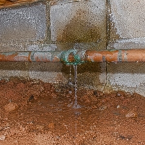 Leaking pipe joint dripping water onto crawl space soil creating moisture that attracts termites and rodents in Linden, VA.
