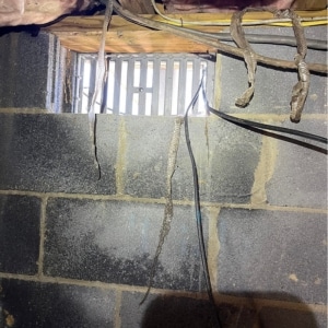 Open crawl space vent showing pest entry point and moisture infiltration causing crawl space pests in Stephens City, VA.
