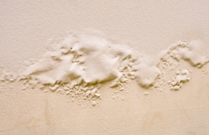 Raised paint blisters and bubbles on a basement wall, sign peeling or bubbling paint on basement walls in Martinsburg, WV.
