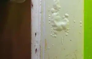 A trapped moisture through a painted basement wall and causing paint to bubble and peel, sign of damp basement in Harpers Ferry, WV.