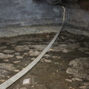 Standing water on crawl space dirt floor creating conditions that attract and cause crawl space pests in Reston, VA.