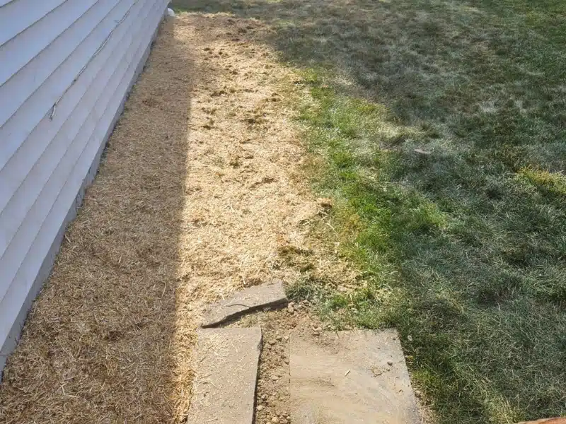 Backfilled topsoil along foundation completing the exterior waterproofing in Alexandria VA.