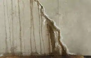 Water streaks and moisture trails running down crack on basement wall, sign of basement flooding problem in Berryville, VA.