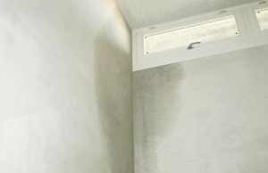 Dark moisture staining in basement wall corner near a window, sign of peeling or bubbling paint on basement walls in Berryville, VA.