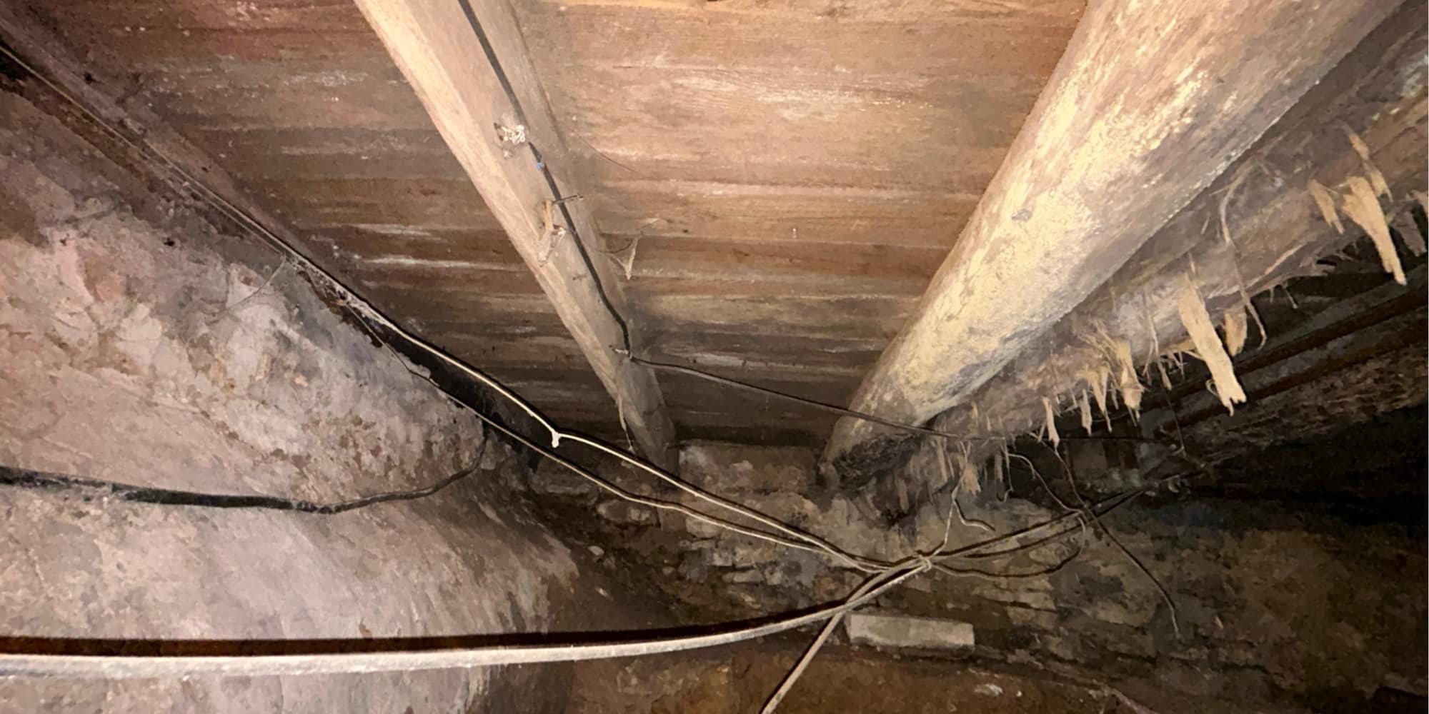 Crawl space joist with fungal growth showing rot damage that has spread, needing wood rot repair in Northern, VA.