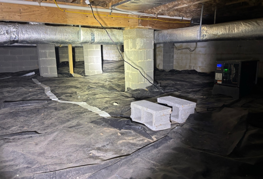Old black vapor barrier covered in debris before encapsulation in Shepherdstown, WV.