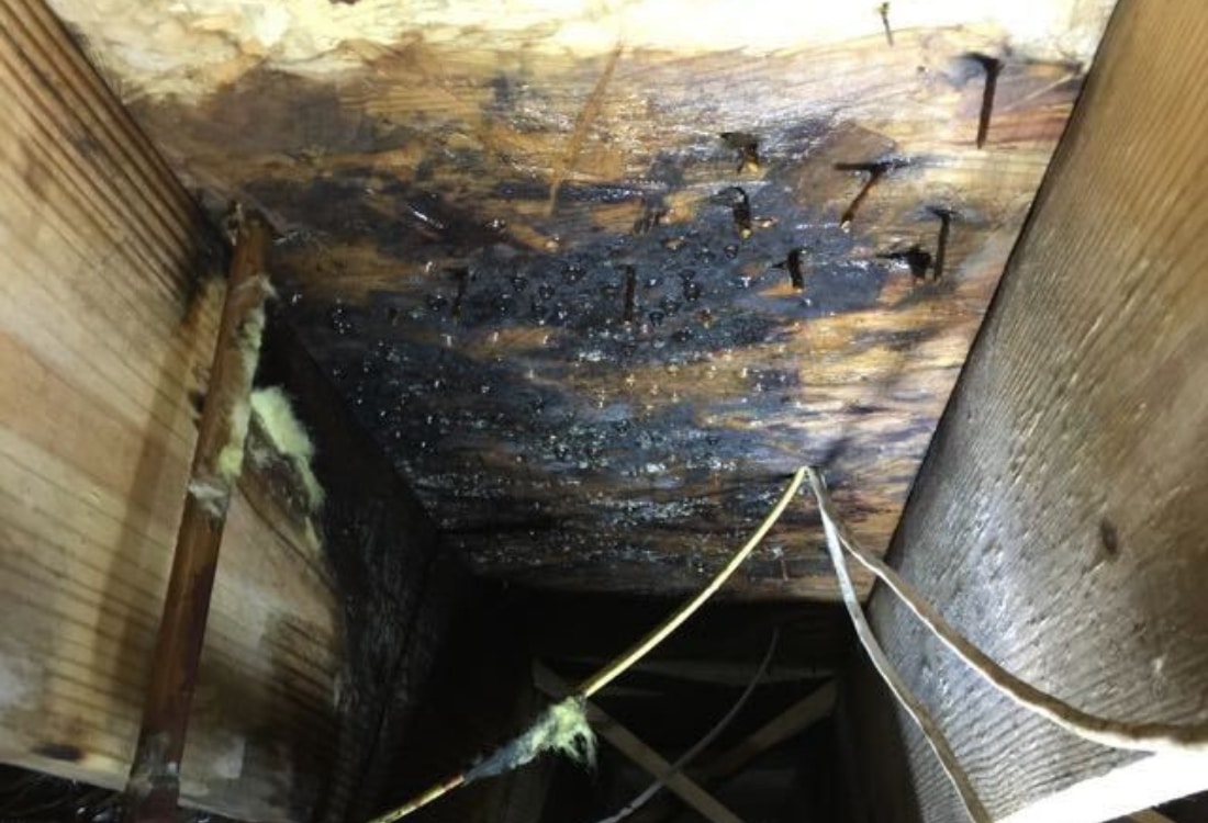 Mold growth on wood framing in a crawl space, a sign that need vapor barrier to stop moisture in Brambleton VA.